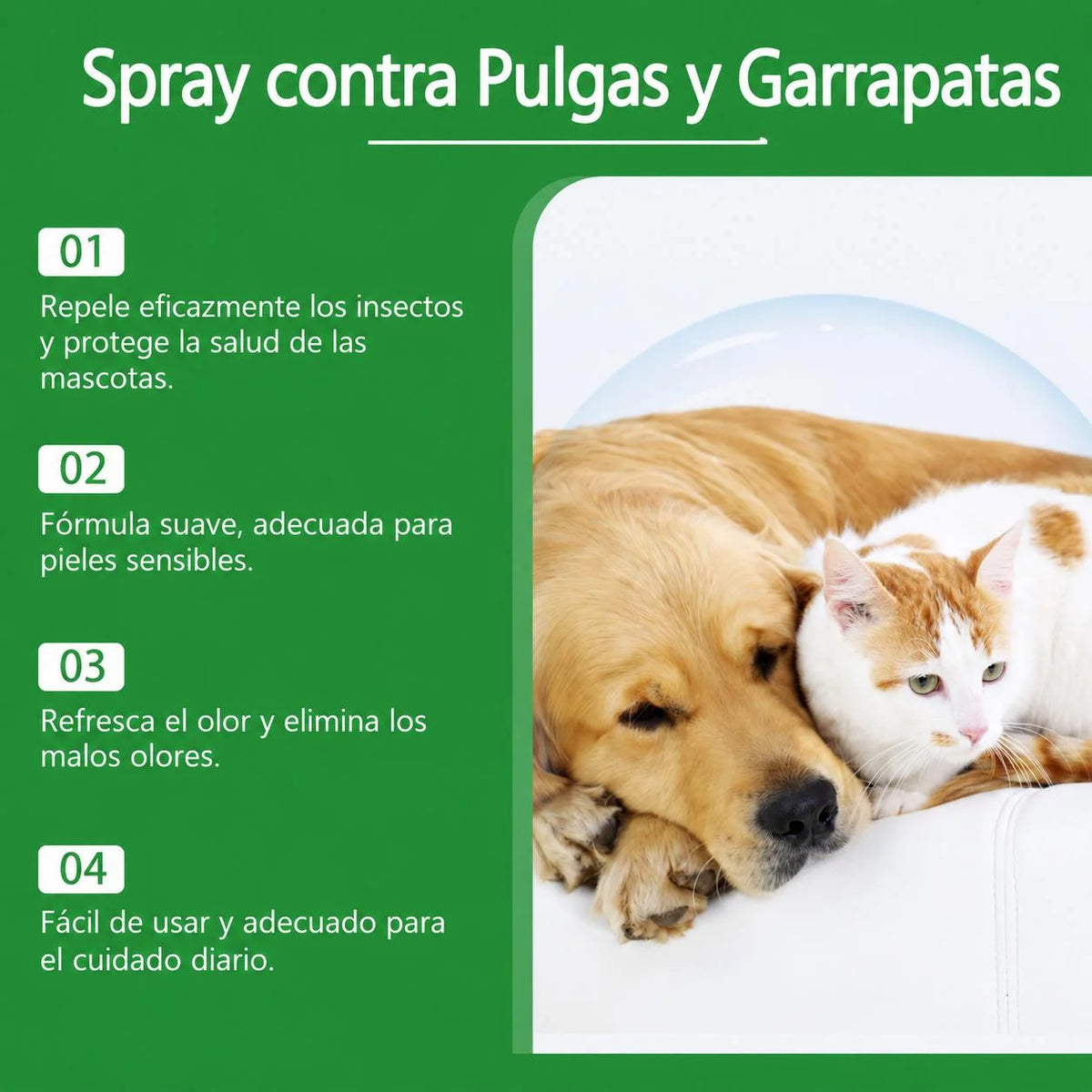 Cuidado y Protección natural de mascotas🍃