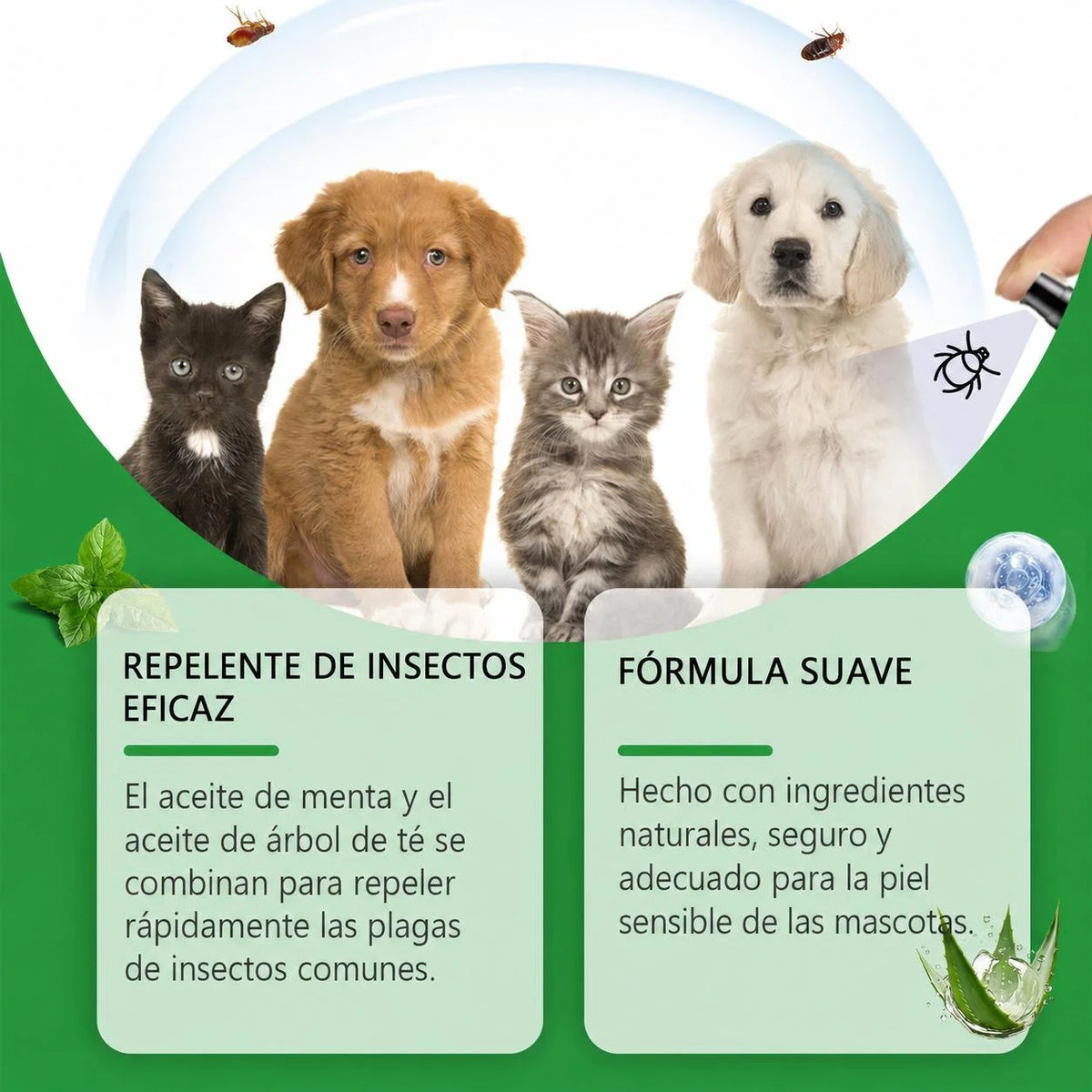 Cuidado y Protección natural de mascotas🍃